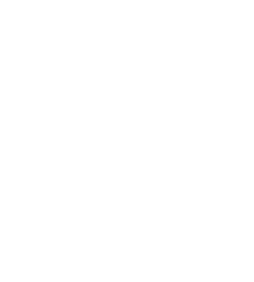 logo_it